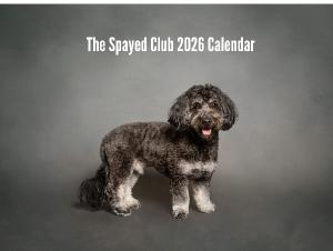 2026 Calendar