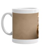 Cash Mug