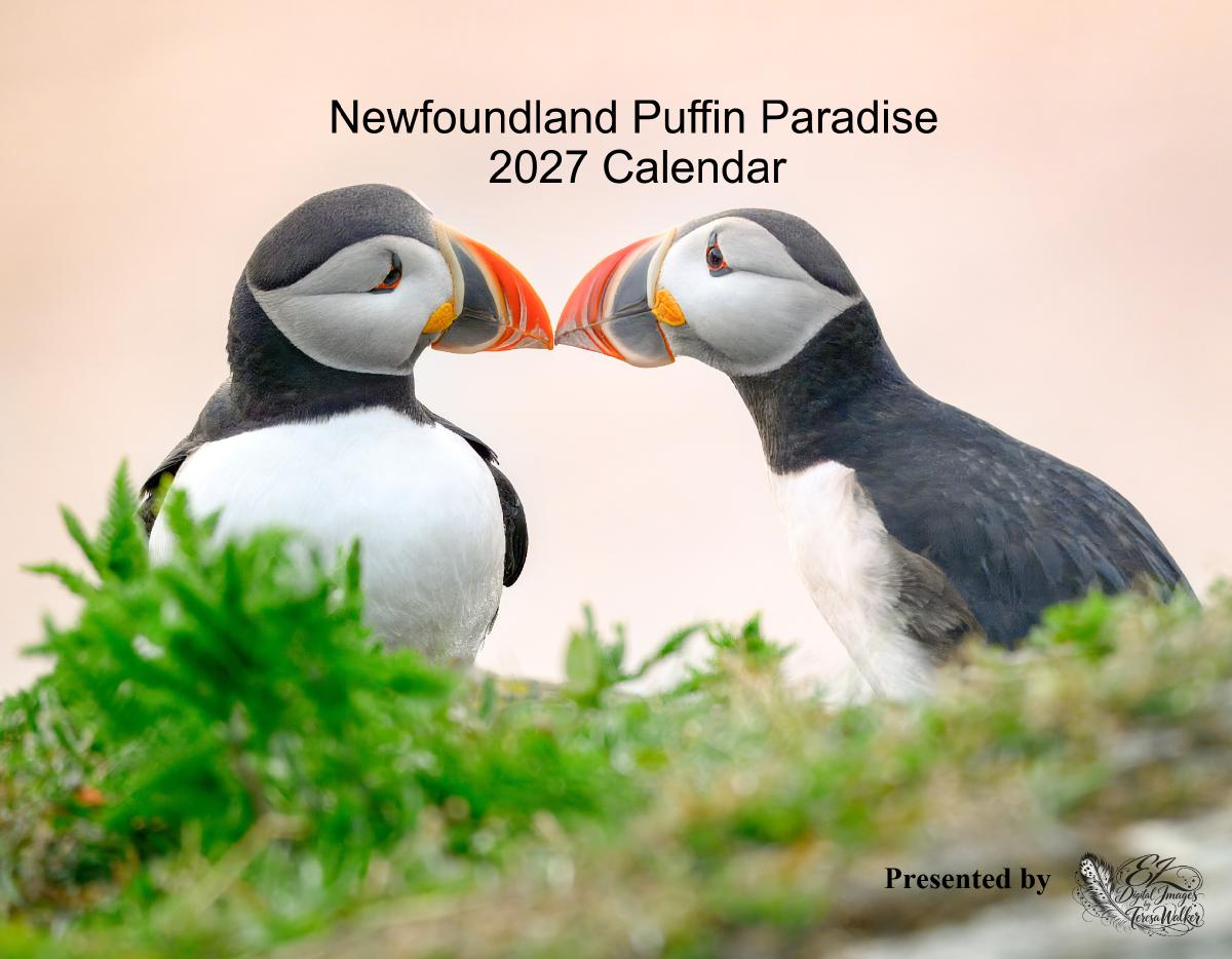 Newfoundland Puffins 2027 Calendar $24.99