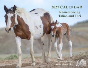2027 Calendar McCullough Peaks Wild Horses $24.99