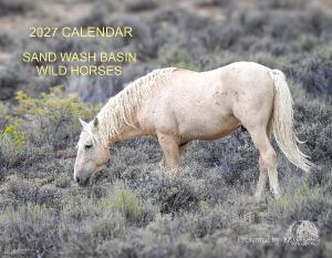 2027 Calendar Sand Wash Basin Wild Horses $24.99