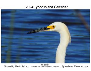 2024 Tybee island Calendar
