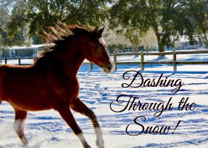 Dashing Through the Snow!