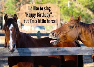 I'd like to sing Happy Birthday... but I'm horse!