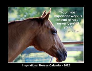 Inspirational Horses Calendar - 2022