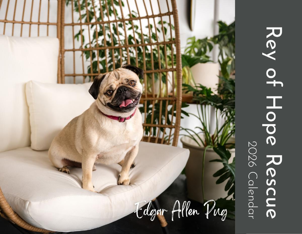 2026 Rey of Hope Rescue Dog Calendar
