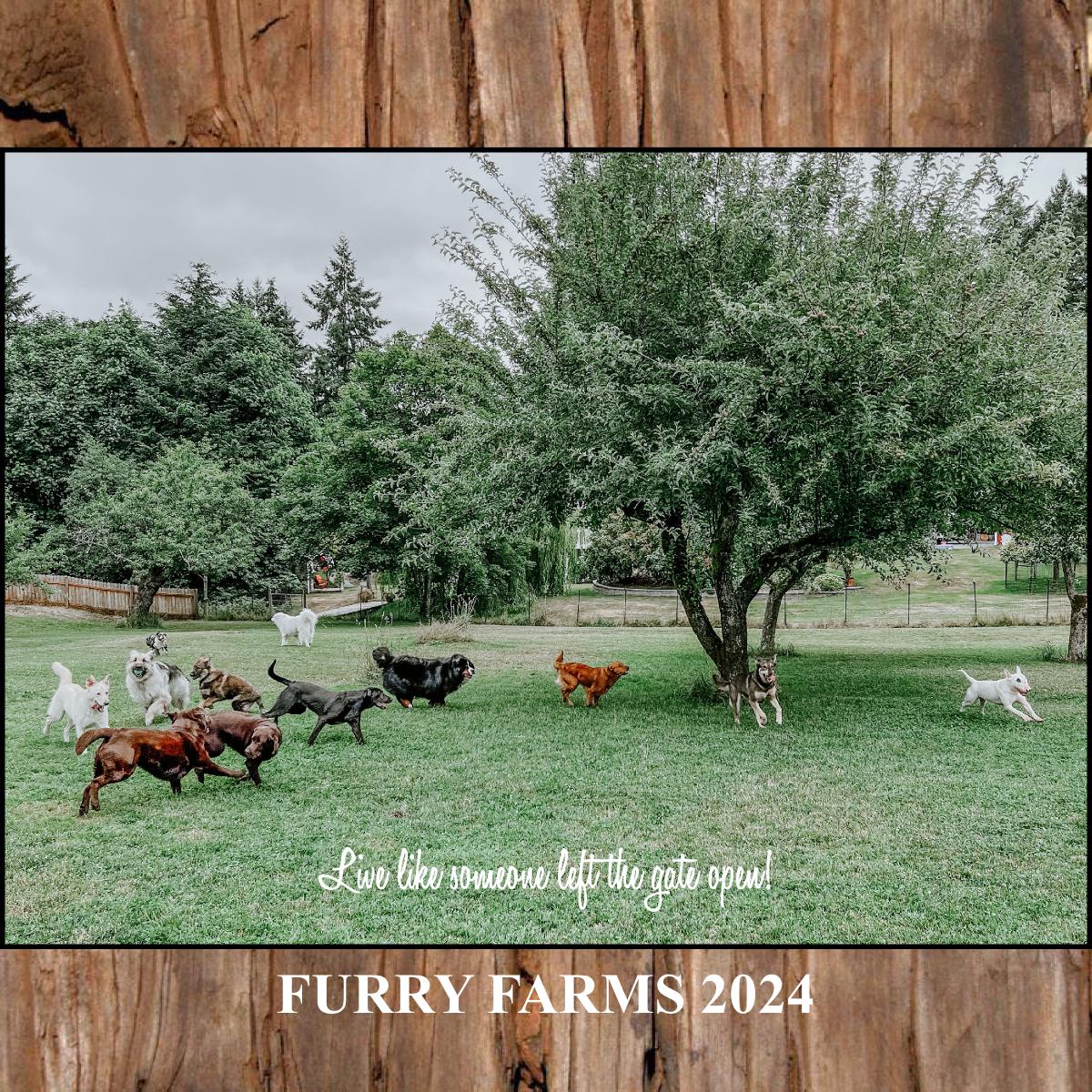 Furry Farms 2024
