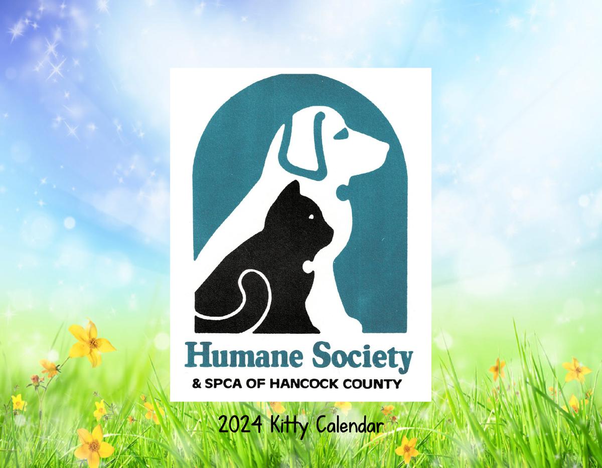 2024 Humane Society of Hancock Co Kitty Calendar