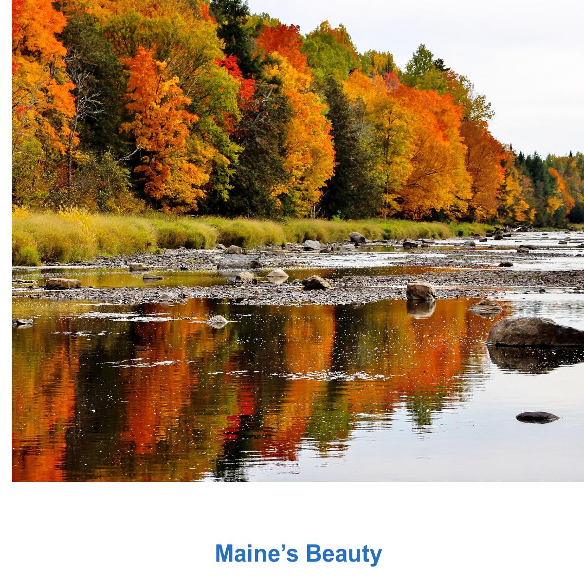 Maine’s Beauty hardcover book