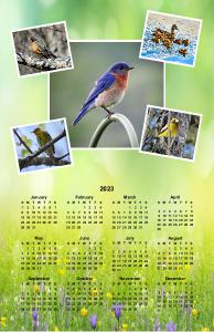 Birding Poster Calendar 2023