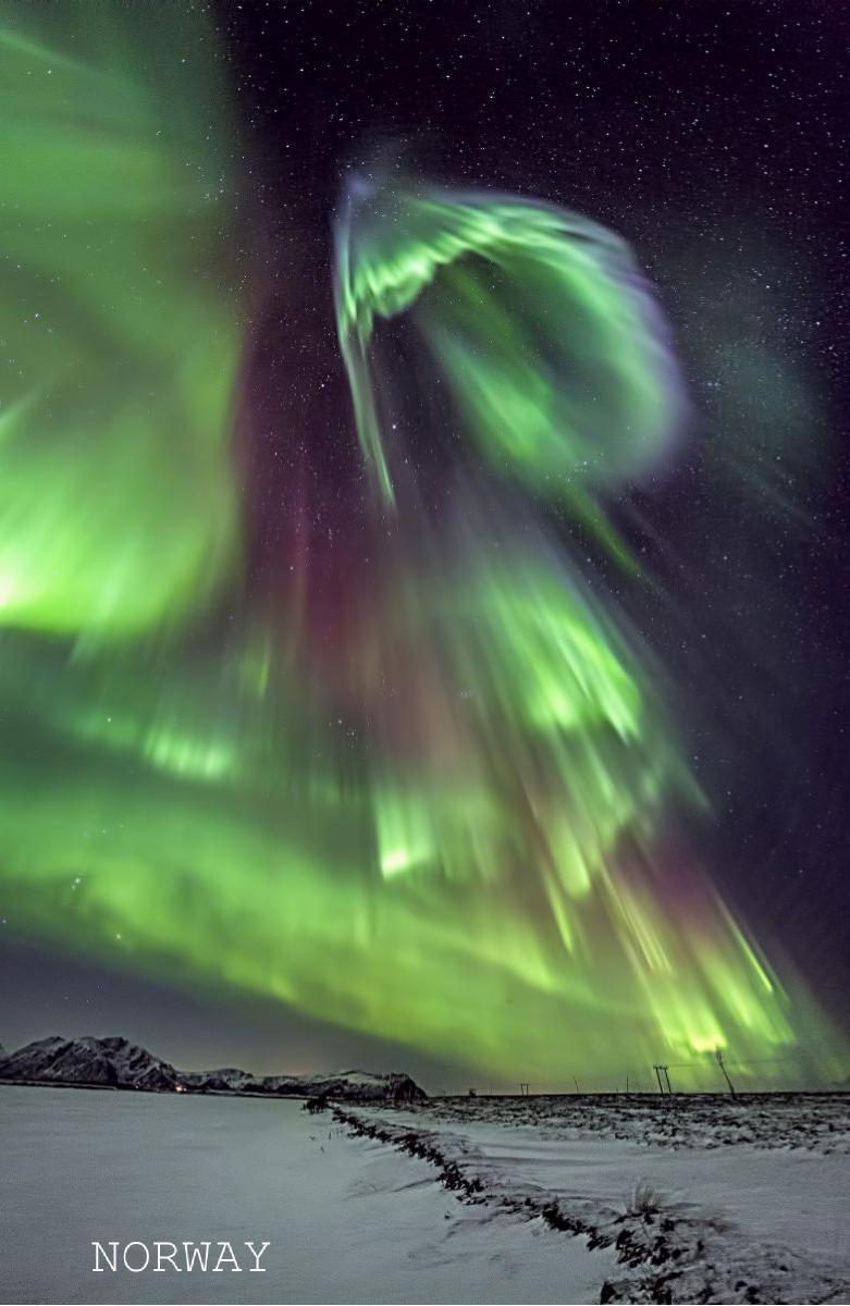 Northern Lights Book1
