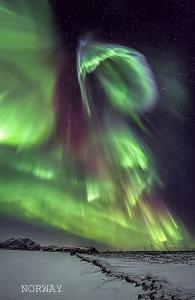 Northern Lights Book1