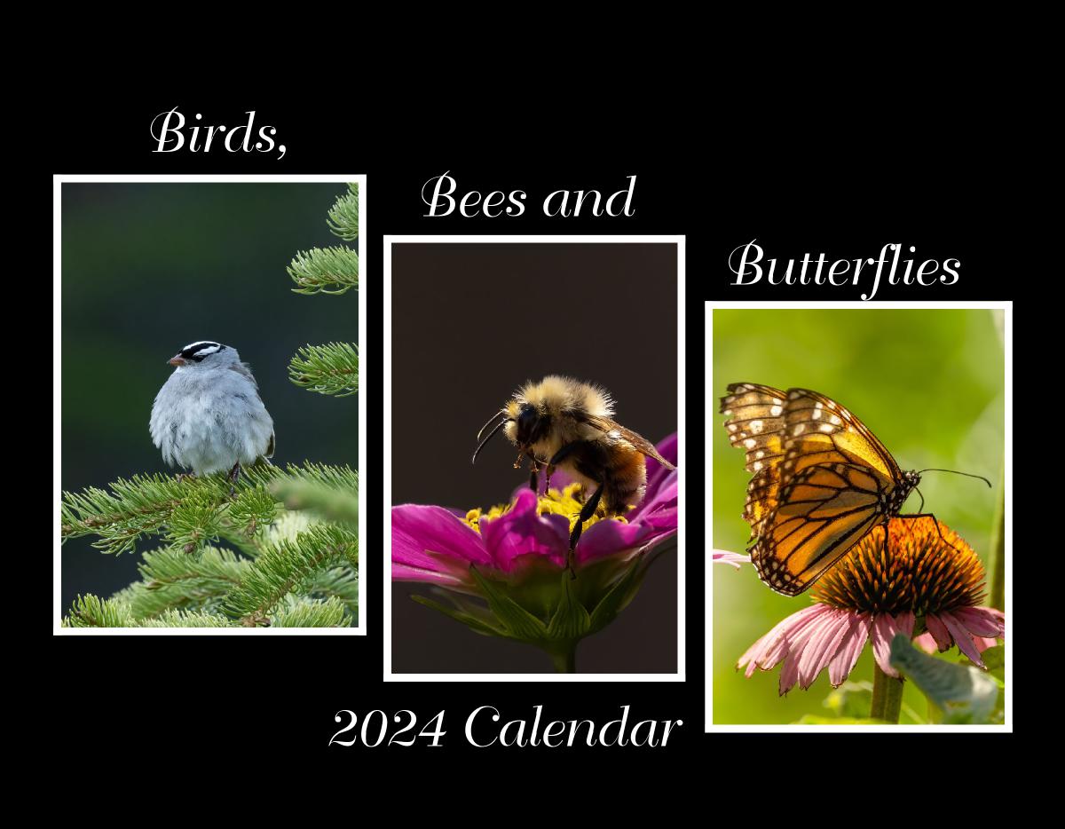 Birds Bees and Butterflies Calendar 2024