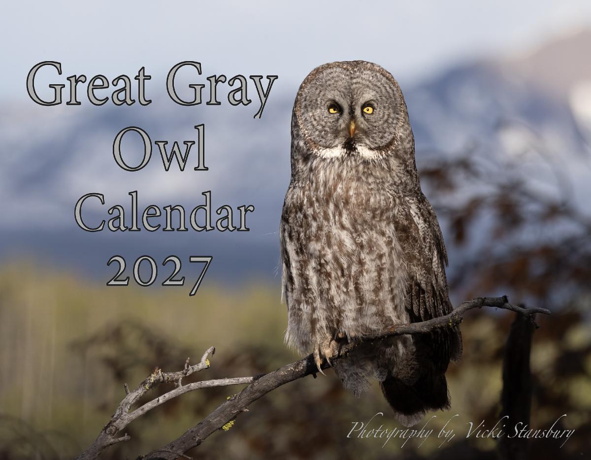 Great Gray Owl Calendar 2027