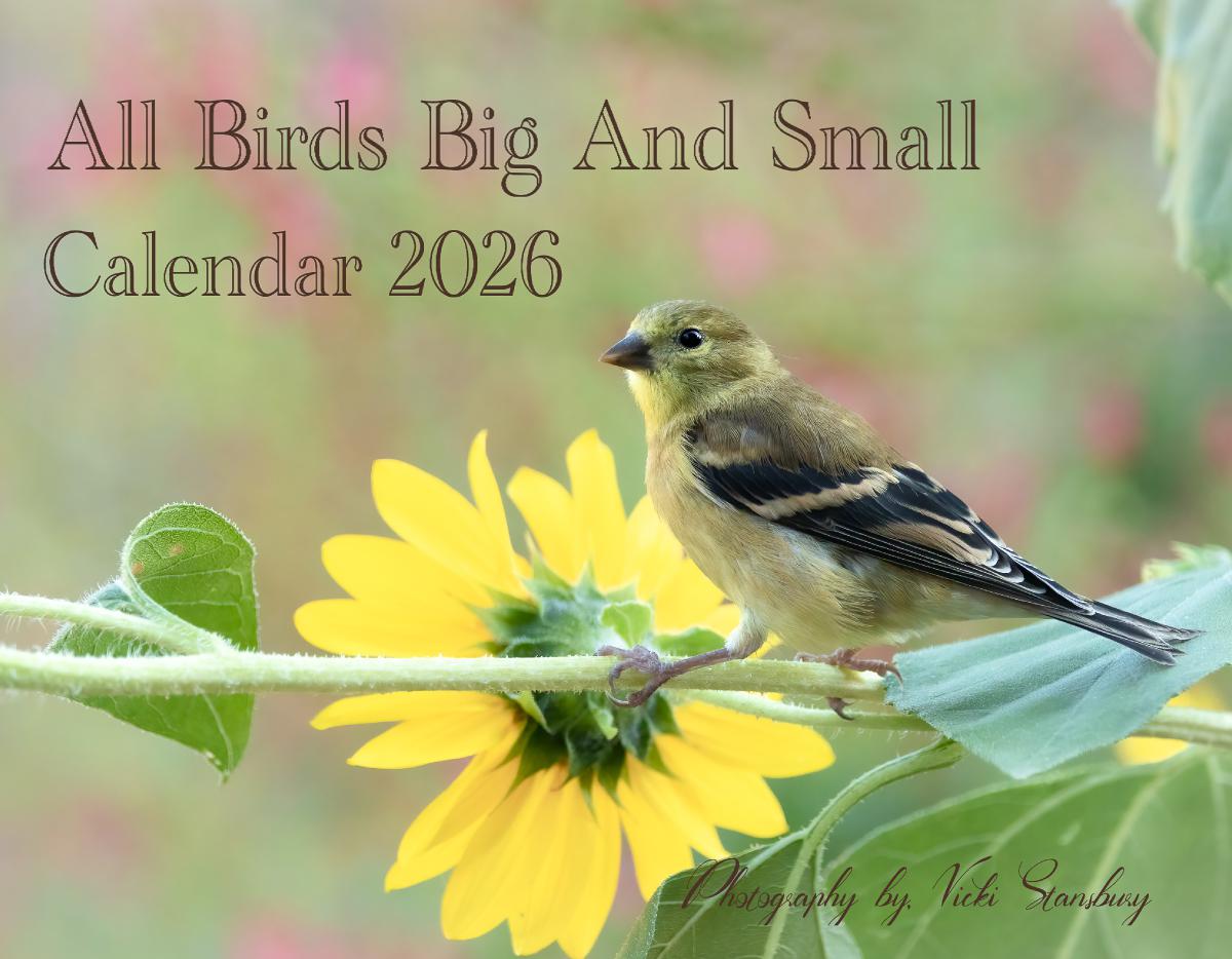 All Birds Big And Small Calendar 2026