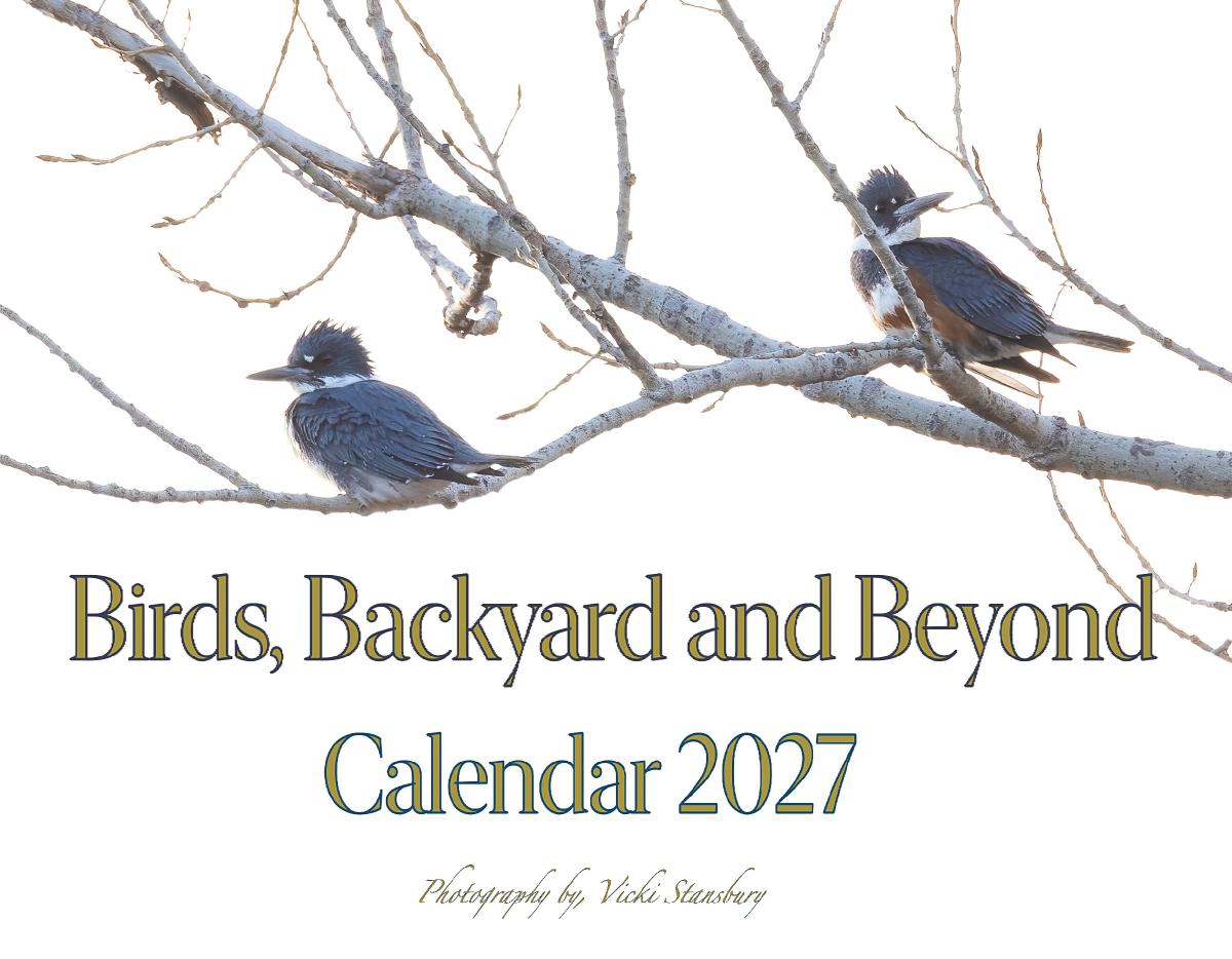 Birds, Backyard and Beyond Calendar 2027