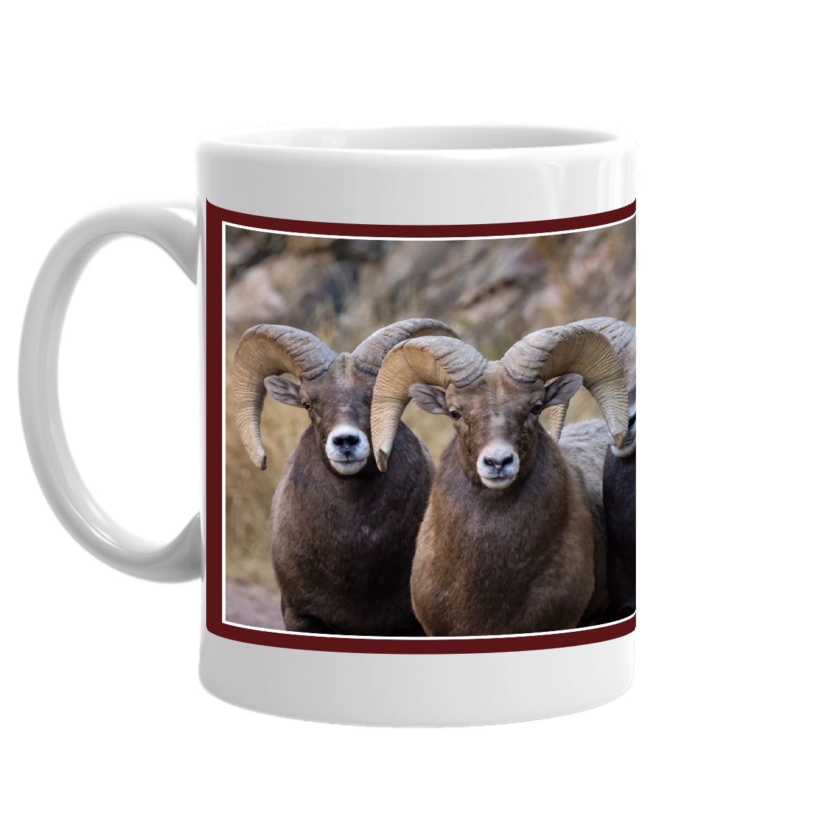 Colorado Big Horned Sheep Rams Coffee Mug