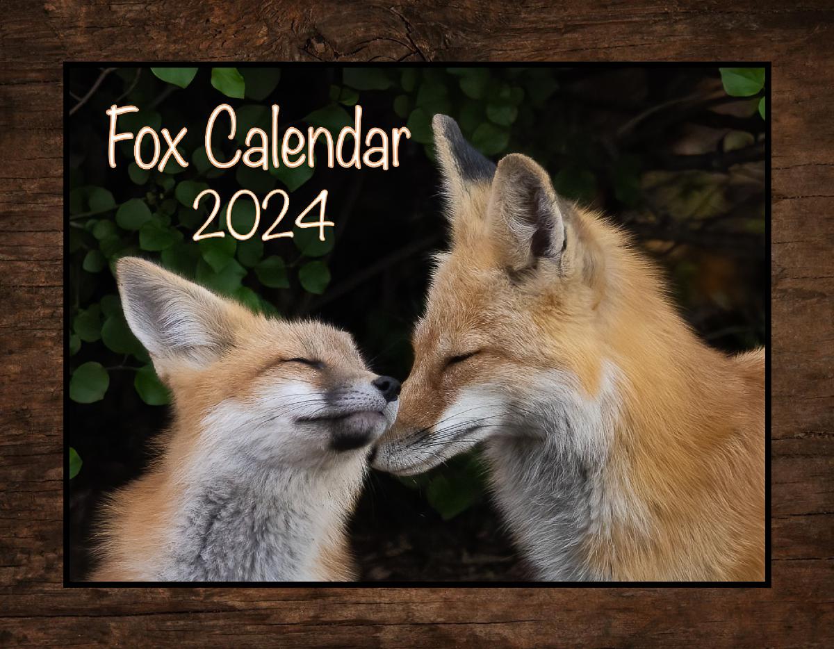 Fox Calendar 2024