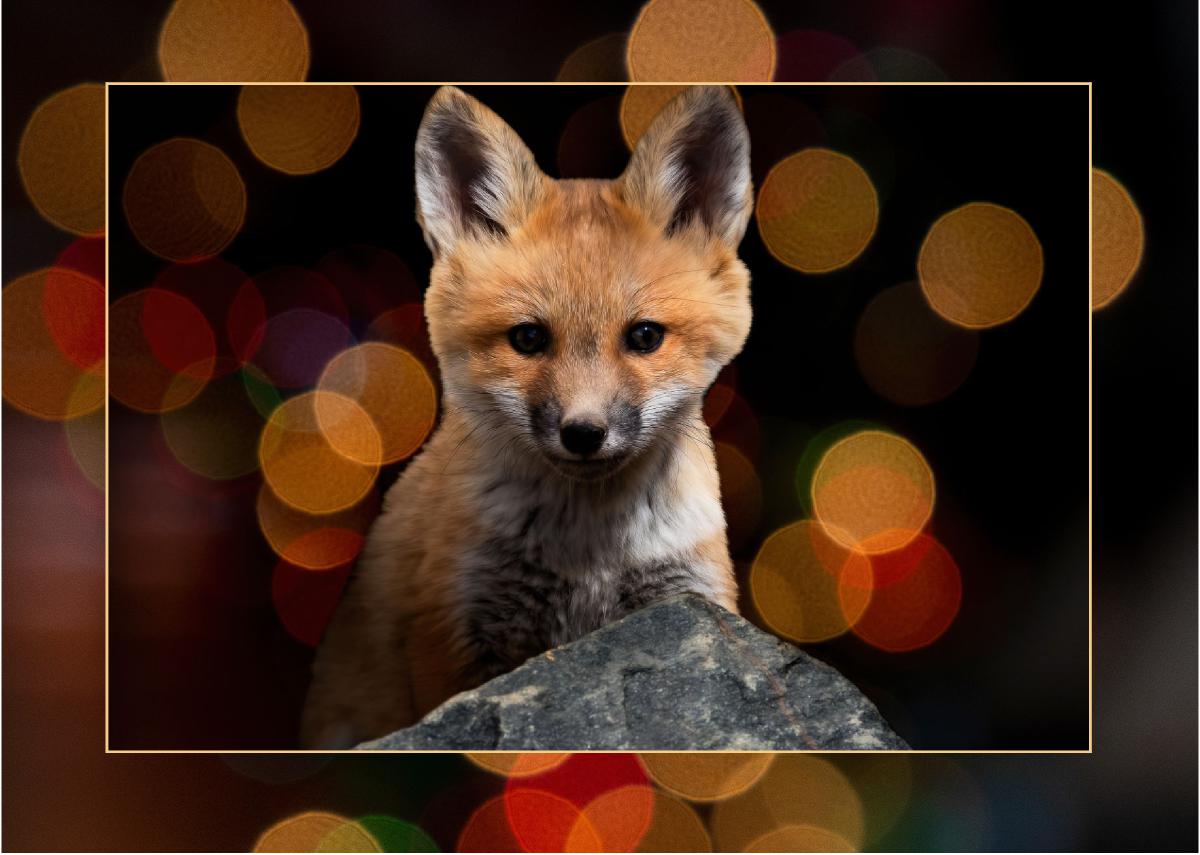 Christmas Card Fox Kit