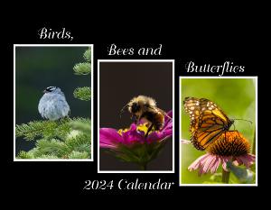Birds Bees and Butterflies Calendar 2024