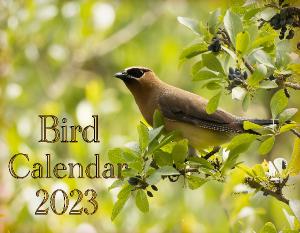 Bird Calendar 2023