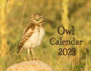 Owl Calendar 2023