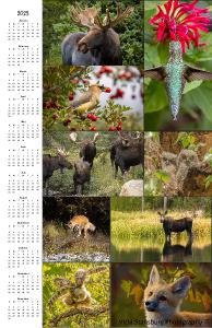 Wildlife Poster Calendar 2023