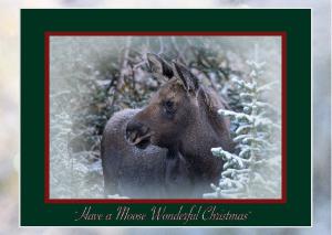 Christmas Moose Calf Card