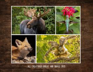 All Creatures Great and Small Calendar 2023