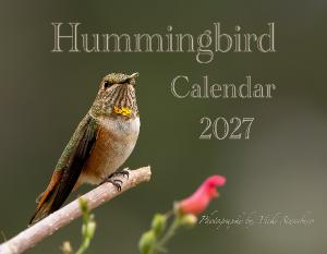 Hummingbird Calendar 2027