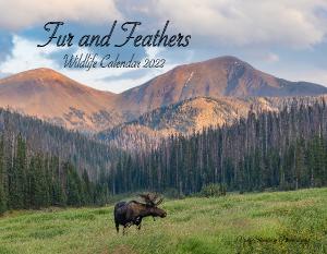 Fur and Feathers Wildlife Calendar 2022