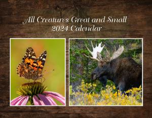 All Creatures Great and Small Calendar 2024