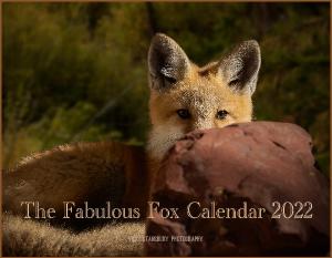 The Fabulous Fox Calendar 2022