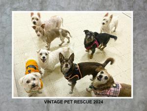 Vintage Pet Rescue 2024 Calendar