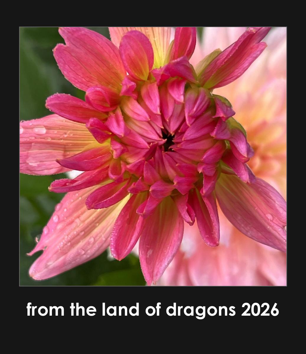 from the land of dragons 2026