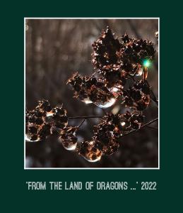 from the land of dragons 2022