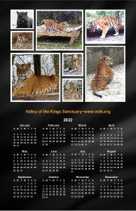 2022 Big Cat Calendar Poster