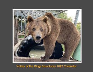 Valley of the Kings 2022 Calendar