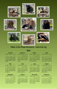 VOTK Bears 2022 Poster Calendar