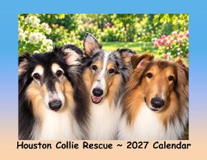 Houston Collie Rescue 2027 Calendar