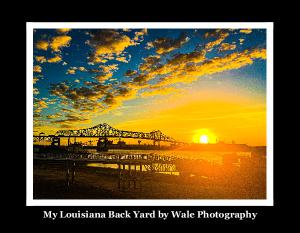 walephotography