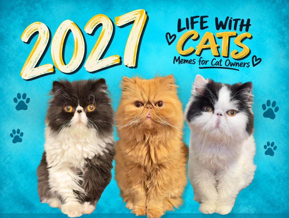 2027 Life With Cats – Memes for Cat Owners