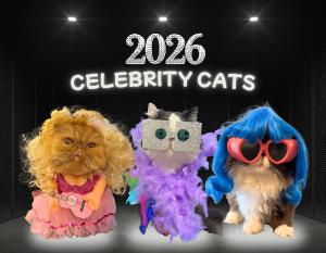 Walter Bishop the Cat 2026 Calendar
