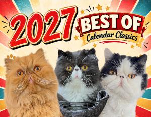 Best Of – Our Cat Calendar Classics