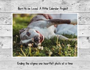 Born to be Loved: A Pittie Calendar Project