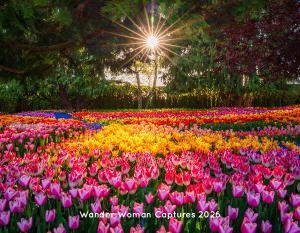 2026 Wander Woman Captures Calendar