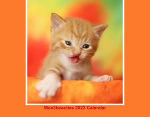 2022 W3B Calendar