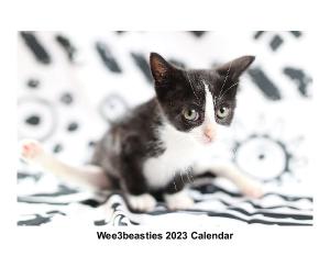 W3B 2023 Calendar