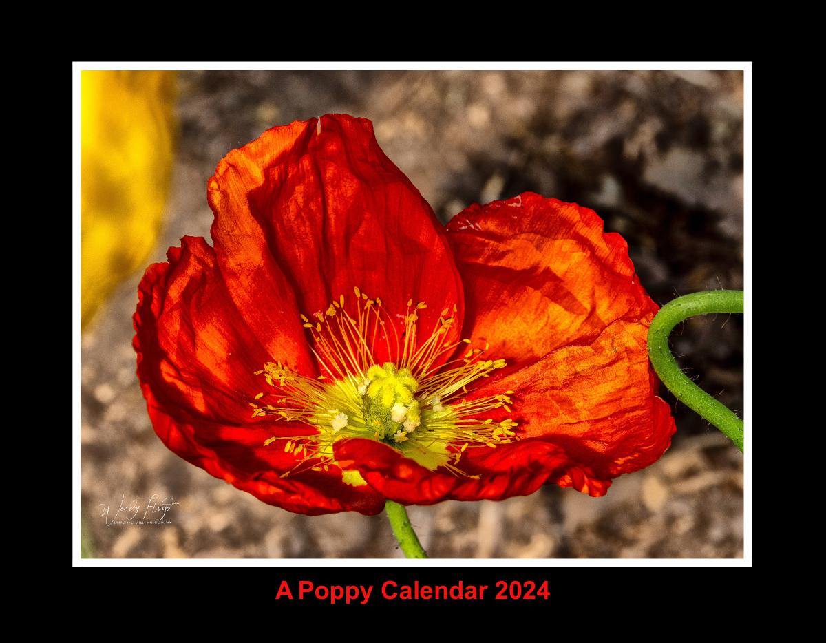 Poppy Calendar