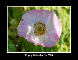 Poppy Calendar for 2024